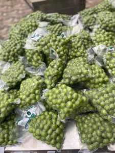 ULTRA PURE CLEAN LABEL CONCENTRÉ DE DRACONTOMELON À BASE DE PLANTES POUR LE RENFORCEMENT DU SYSTÈME IMMUNITAIRE ROBUSTE. - Product Image 5