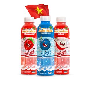 น้ำมะพร้าวพร้อมเนื้อมะพร้าว 500 มล. บรรจุขวด PET ขายส่ง รับผลิตแบบ OEM แบรนด์ส่วนตัว ผู้ผลิตจากเวียดนาม - Product Image 2