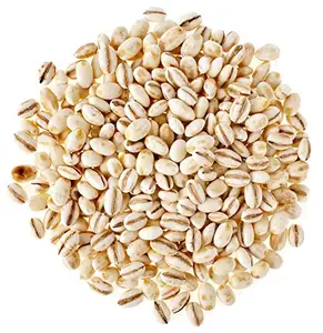Giá tốt nhất hạt lúa mạch cho động vật và con người tiêu thụ có sẵn