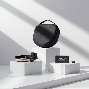 Ensemble de lampes LED portables - Offre Pro - Product Image 2