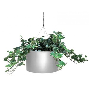 Export Quality Hanging Metal <b>Planters</b> Latest Design Indoor and Outdoor <b>Wall</b> Decor Pots for Home <b>Garden</b> Flower Pots & <b>Planters</b> - Product Image 6