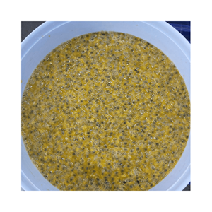 100% IQF fruit de la passion congelé goût frais naturel purée de produit d'exportation du Vietnam avec un prix compétitif et de haute qualité - Product Image 3