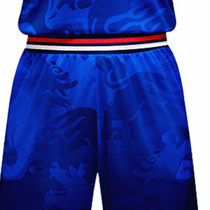 Uniformes de Baloncesto Sublimados Personalizados - Tallas Grandes, Impresión para Escuelas Secundarias, Descuento, Colores y Logotipos Personalizados, 100% Poliéster - Product Image 4