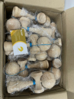 Fábrica al por mayor Premium Mini madera Kendama juguete educativo habilidad juguete con logotipo personalizado para niños-Caryln