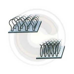 เทปตีนตุ๊กแกสีขาวแบบม้วน - Product Image 1