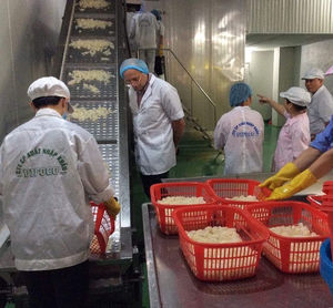 Rodajas de piña enlatada de Vietnam de calidad superior en almíbar ligero Cosecha fresca Fruta tropical jugosa empaquetada en lata para exportación - Product Image 1