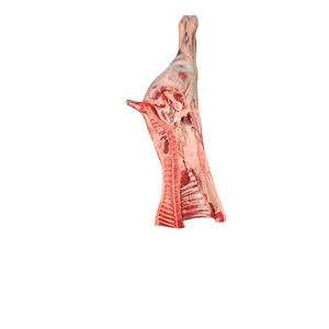 Vente en gros de bœuf nourri à l'herbe nature Viande de croupe d'articulation de bœuf Angus congelée HALAL COUPES DE QUARTIER ARRIÈRE 90VL 95VL 98VL Compétitif - Product Image 4