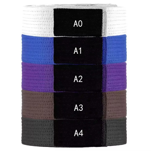 Cinturón de Karate y Jiu Jitsu Brasileño con Logotipo Personalizado, Alta Calidad, 100% Algodón, Logotipo Frontal Personalizable, Uniforme de Artes Marciales - Product Image 3