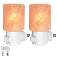 Lampe murale décorative en pierre de sel de l'Himalaya naturelle, artisanale, écologique, purifiante, alimentée par USB, pour les intérieurs de la maison