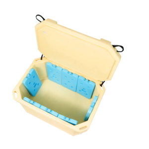 Vente en gros de glacière portable en PEBDL écologique avec logo personnalisé pour refroidir les aliments isolés pour la plage Plastique dur réutilisable Inde - Product Image 1