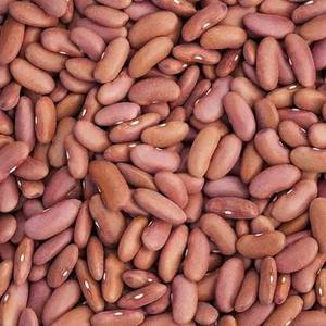 High Quality Speckled Red and White Dried Kidney <b>Beans</b> 25kg Bulk Packaging HRCCM Brand For Sale - Product Image 6