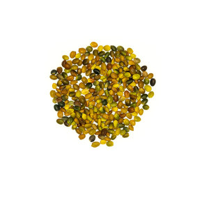 Persian Clover | ผลิตภัณฑ์พฤกษศาสตร์ออร์แกนิก | อุดมไปด้วยสารอาหาร - Product Image 1