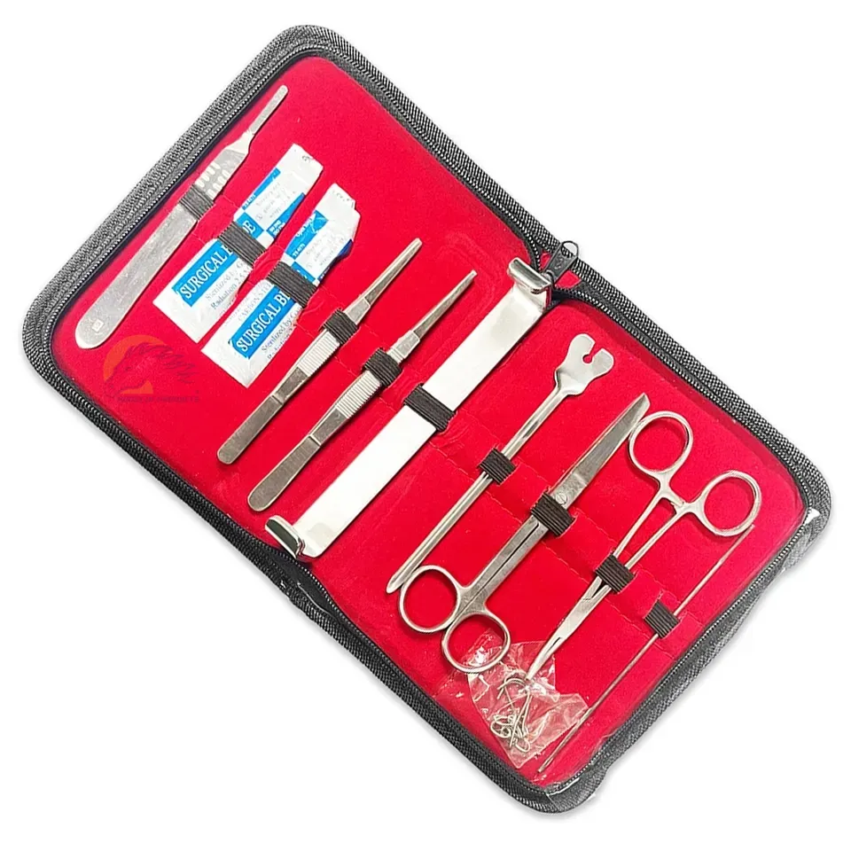 Kit di strumenti con supporto bisturi pinza per zanzare forbici Iris Kit di dissezione medica