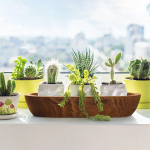 Export Quality Japanese <b>Bowl</b> Wooden <b>Bowl</b> <b>Mango</b> <b>Wood</b> Decorative <b>Bowl</b> for Home Decor Kitchenware Use From India at Wholesale Rate - Product Image 5