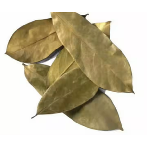 ใบทุเรียนเทศแห้งทั้งใบ | Wildcrafted และ Air-dried | ใบ annona muricata guanabana แห้ง - Product Image 5