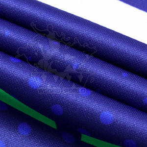 Uniforme de Rugby de Secado Rápido y Transpirable, 100% Poliéster Ecológico, Opciones Personalizables, Hecho en Pakistán - Venta en Línea - Product Image 6