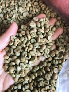 Granos de Café Verde Robusta de Vietnam, Especialidad, Certificación ISO 22000, Tamaño 18, 100% Natural, Grado G1/G2, Bolsas de 1000 kg, Fábrica TNFOOD - Product Image 3
