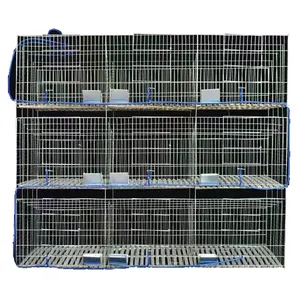 Cage d'élevage agricole 3 couches 12 cellules cage commerciale pour lapins