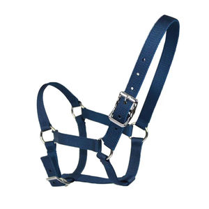 Cuero Caballo Halter Caballo Polo Halter Colorido Hilo Diseño Cuero Gaucho Caballo Halter - Product Image 1