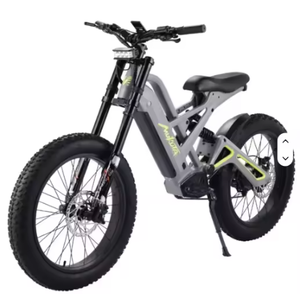 Bicicleta Eléctrica de Montaña Quality Knight de 24 Pulgadas con Llantas Anchas, 52V 20Ah 1200W, Quad para Adultos, 5000W, Grado Industrial, 3 Años de Garantía - Product Image 1