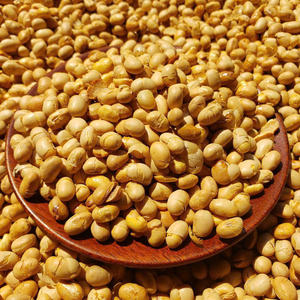 2024 Vietnamese Premium Quality Non-GMO Dry Soya <b>Beans</b> High Quality GMO-Free Soybeans in Bulk Packaging - Product Image 6