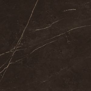 Découvrez les principales marques indiennes produisant des carreaux de porcelaine élégants et durables de 60x60cm pour les articles de décoration de la maison et du salon - Product Image 2