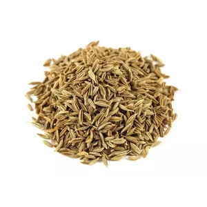 Semillas de comino de alta calidad Especias de comino Premium de estilo crudo y seco con proceso de secado superior Naturalmente aromático fresco - Product Image 2