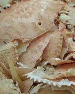 Source de calcium 100% naturelle à base de coquilles de crabe pour l'alimentation animale - Product Image 6