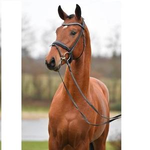 Venta al por mayor de alta calidad de cuero de caballo Brida de cuero de caballo Precio al por mayor Brida de cuero de caballo 2018 Venta caliente - Product Image 6