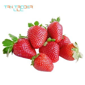 Fresa Premium Roja Fresca Natural de México de Alta Calidad para Exportación a Granel - Dulce y Deliciosa (Caja PRIMUS) - Product Image 4