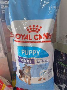 คุณภาพสูงสำหรับ Royal Canin อาหารสุนัขและแมวขนาดกลางผู้ใหญ่เพื่อสุขภาพและไม่มีเมล็ดพืชส่งตรงจากผู้ผลิตจำนวนมาก