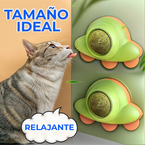 Kit Interattivo Eco-Friendly per Gatti: Giocattolo alla Moda per Animali Domestici con Silicone Sostenibile per il Gioco, Confezione in Scatola di Cartone - Product Image 1