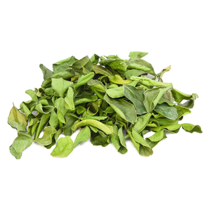 <b>Dried</b> Kaffir <b>Lime</b> Leaves Wholesale Vietnam Supply for Food Flavor - Product Image 3
