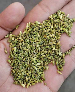 SOPHORA BUD/SOPORTE INMUNE/ETIQUETA LIMPIA/BASADA EN PLANTAS - Product Image 1