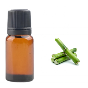 Fabricante indio, aceite esencial puro de calidad superior de Kanha Nature Oils, suministro OEM, sala de fragancia de bambú con olor fresco - Product Image 5