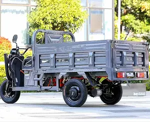 Лидер продаж, Электрический трехколесный грузовой трехколесный велосипед Shifeng 4 1000 Вт по низкой цене