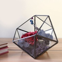 Terrarium en verre géométrique avec cadre noir pour la décoration moderne de la maison et du jardin, présentoir suspendu pour plantes succulentes, arrangement de plantes d'intérieur