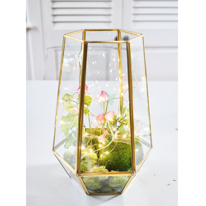 Cheapest Price Best Quality Glass <b>Geometric</b> Shaped <b>Terrarium</b> Clear Glass Brass Frame Gold Finished for Tabletop Decorations - Product Image 3