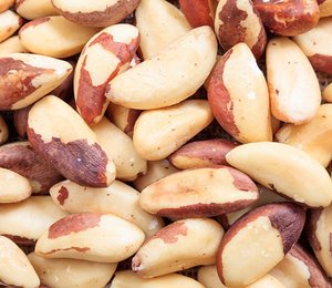 Noix du Brésil brutes séchées non OGM de haute qualité, noyaux de qualité supérieure, en-cas alimentaires, prêts à être expédiés en gros - Product Image 3