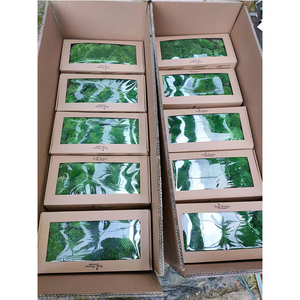 <span class=keywords><strong>Bolas</strong></span> de musgo artificiales para decoración, <span class=keywords><strong>bolas</strong></span> de musgo secas para interiores - Product Image 6