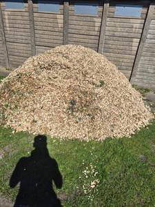 Copeaux de bois de haute qualité en vrac - Combustible biomasse d'acacia pour approvisionnement en gros - Product Image 6