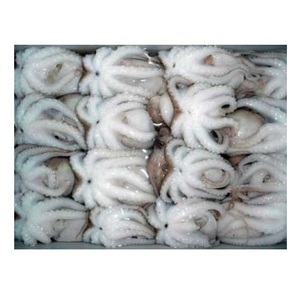 ปลาหมึกสดและแช่แข็ง ปลาหมึกยักษ์ตัวเล็ก ปลาหมึกแช่แข็งสำหรับขาย - Product Image 2