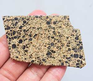 Orbicular Rough <b>Slice</b> - Product Image 6