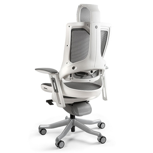 เก้าอี้สำนักงานระดับไฮเอนด์ Ergonomic Wonder II-01 ดีไซน์ร่วมสมัย พร้อมวัสดุโลหะโครเมียมและตาข่าย รุ่น HOGVP127 - Product Image 2