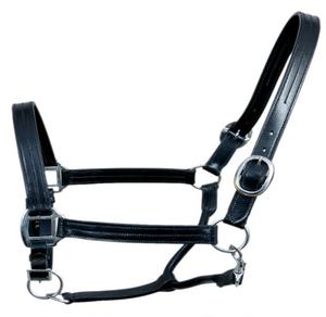 Halter mince en cuir avec rembourrage contrasté sur la muserolle et le casque avec quincaillerie en laiton Horse Halter - Product Image 5