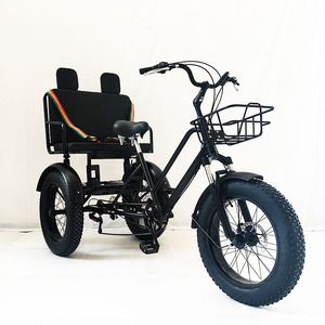Triciclo Eléctrico con Marco de Acero de 20*4.0 Pulgadas, Batería de Litio de 48v, Asiento Cómodo, Estilo para Viajes Transfronterizos - Product Image 4