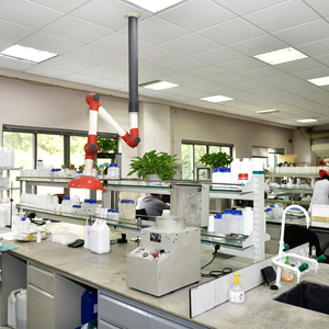 High Quality White Liquid Industrial <strong>Grade</strong> <strong>Silicone</strong> Products for <strong>Electronic</strong> Appliances - Product Image 3