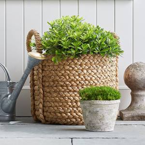 Panier en jacinthe d'eau à prix abordable pour rangement de garde-manger, comptoir de cuisine, conteneurs de rangement - Product Image 6