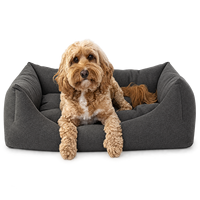 Coussin carré pour chien Yangyangpet en tissu tissé texturé gris anthracite avec entrée avant basse