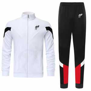 Ensemble de vêtements chauds pour hommes, ensembles de vêtements d'automne et d'hiver, sweat-shirt à col montant avec fermeture éclair, pantalon, survêtement chaud, sweat-shirts pour hommes - Product Image 2